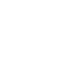Fiestas de la Virgen Yecla, en Honor a la Purísima Concepción.